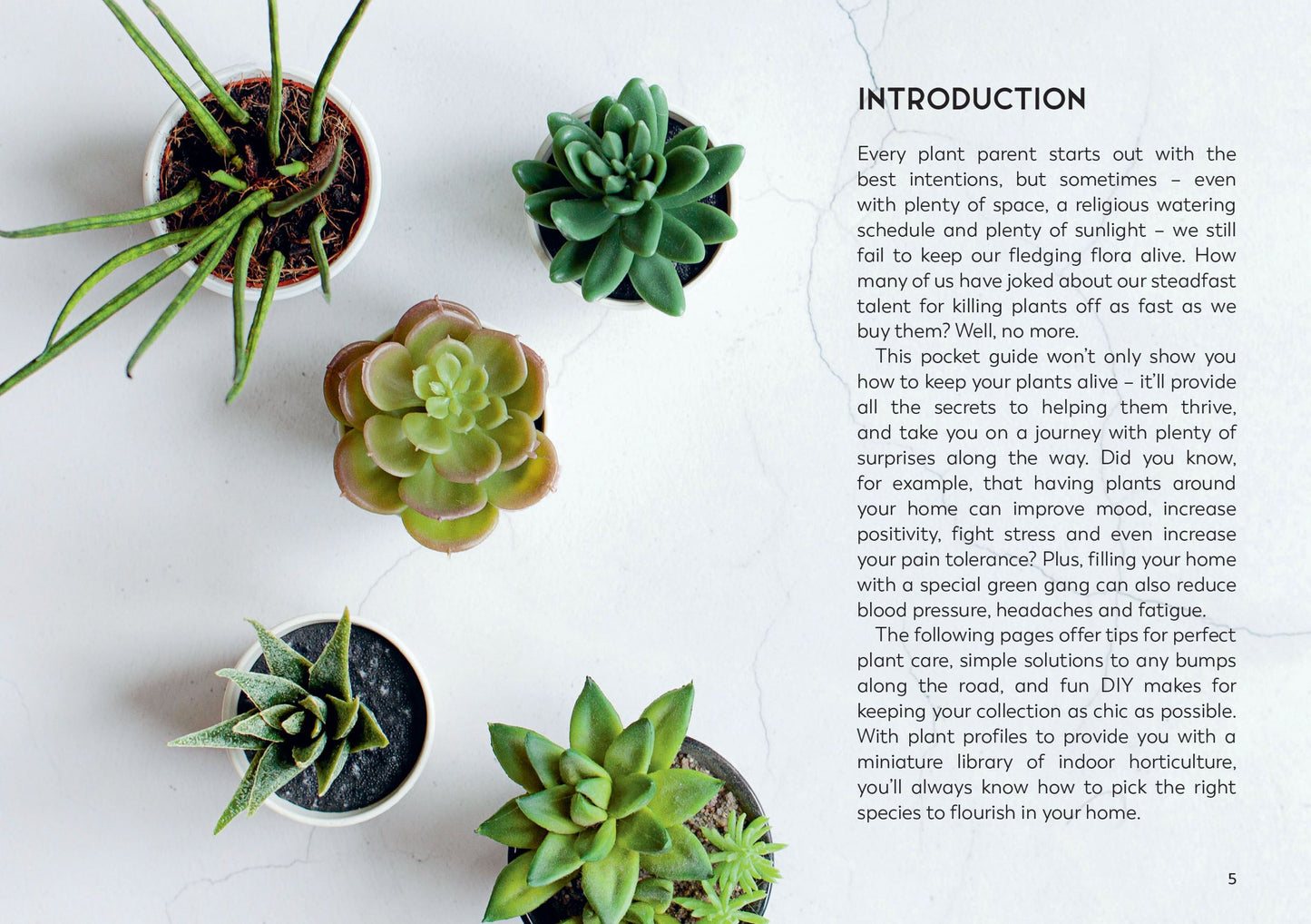 Little Book for Plant Parents