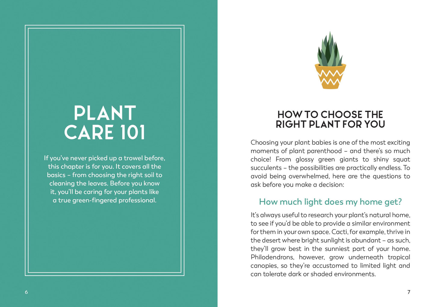 Little Book for Plant Parents