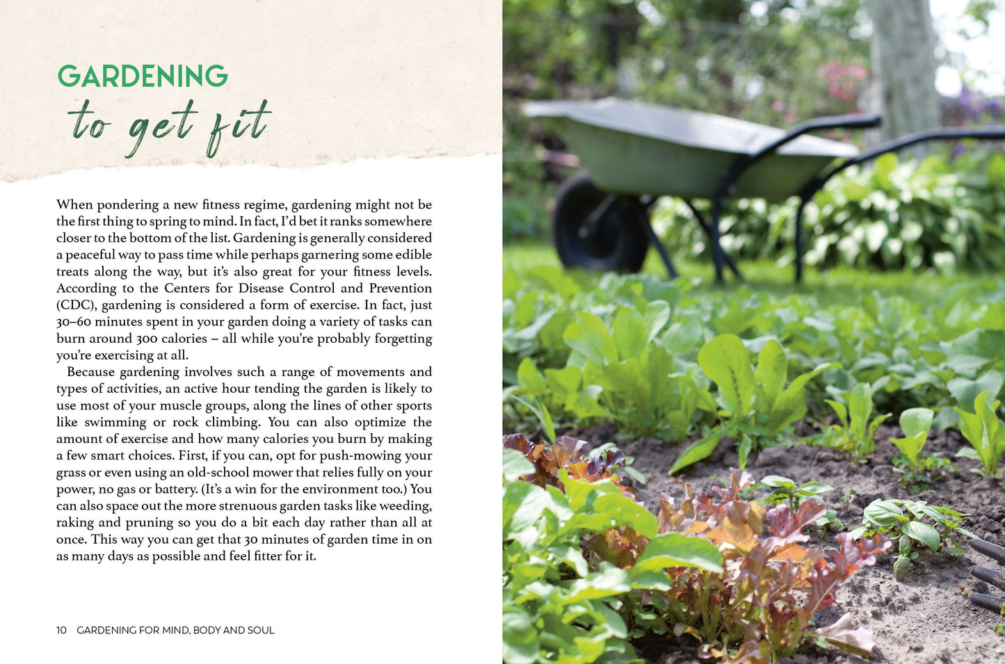 Gardening for Mind, Body & Soul