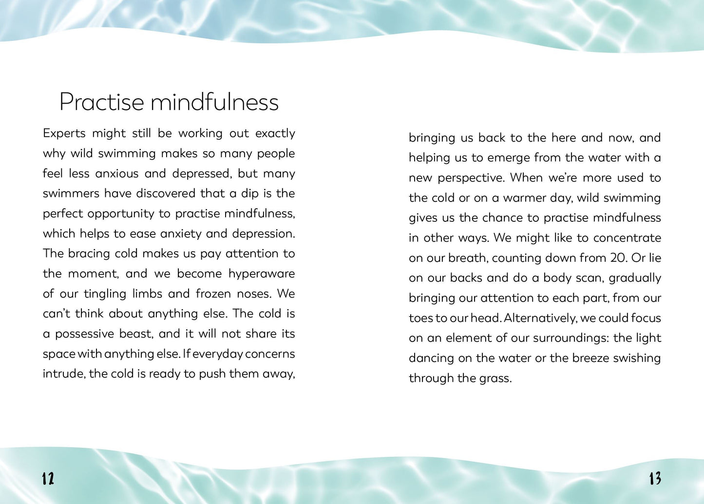 Little Book of Wild Swimming