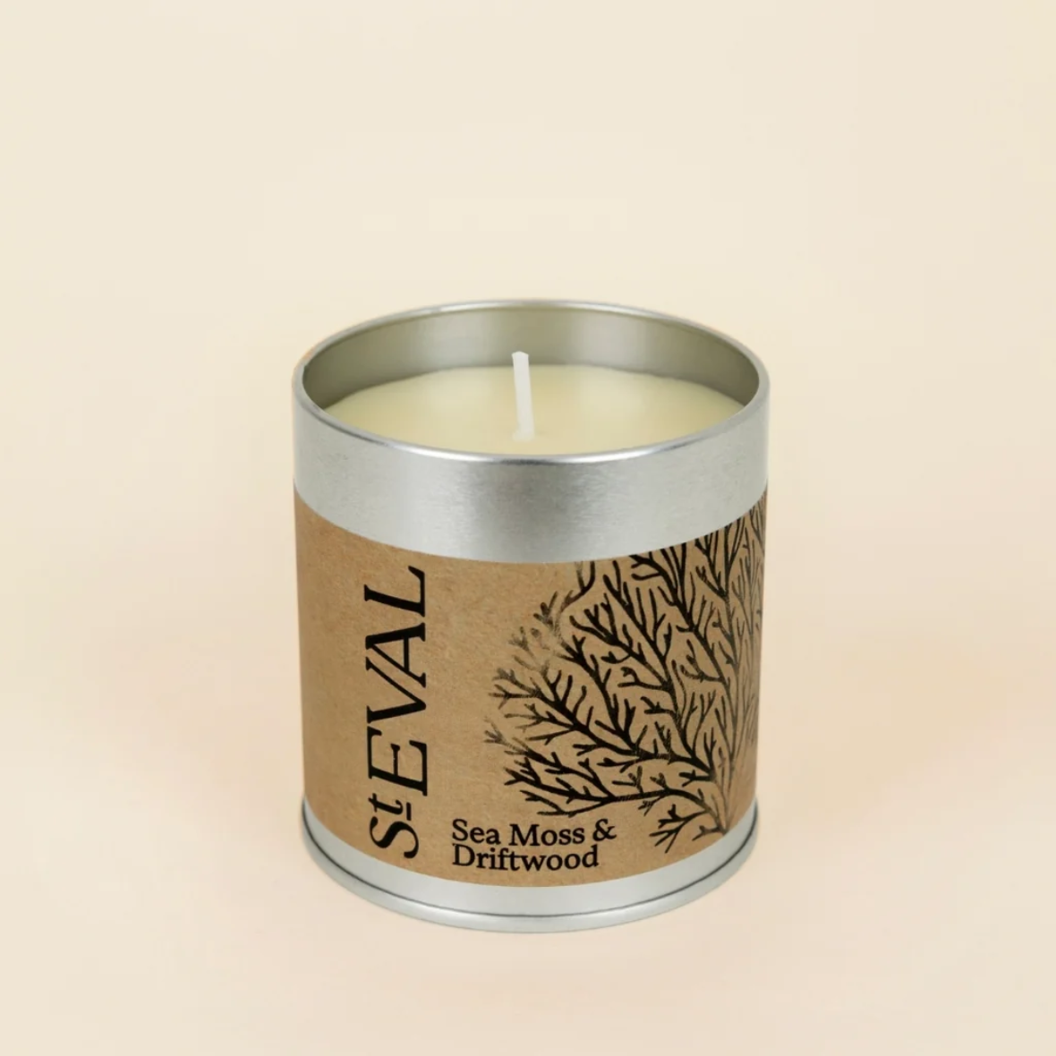 Sea Moss and Driftwood Tin Candle