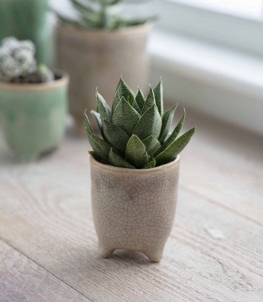 Positano Pot In Stone