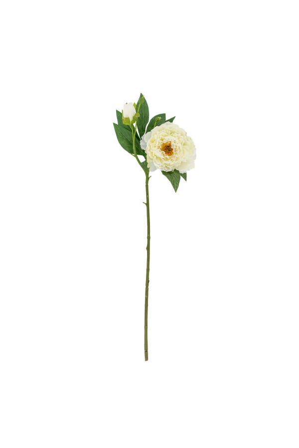Peony Stem, White