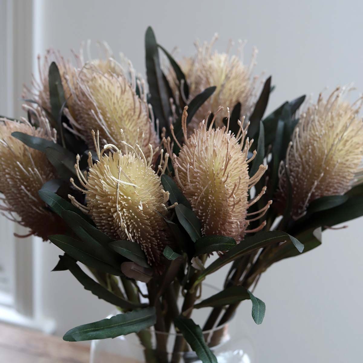 Banksia Flower
