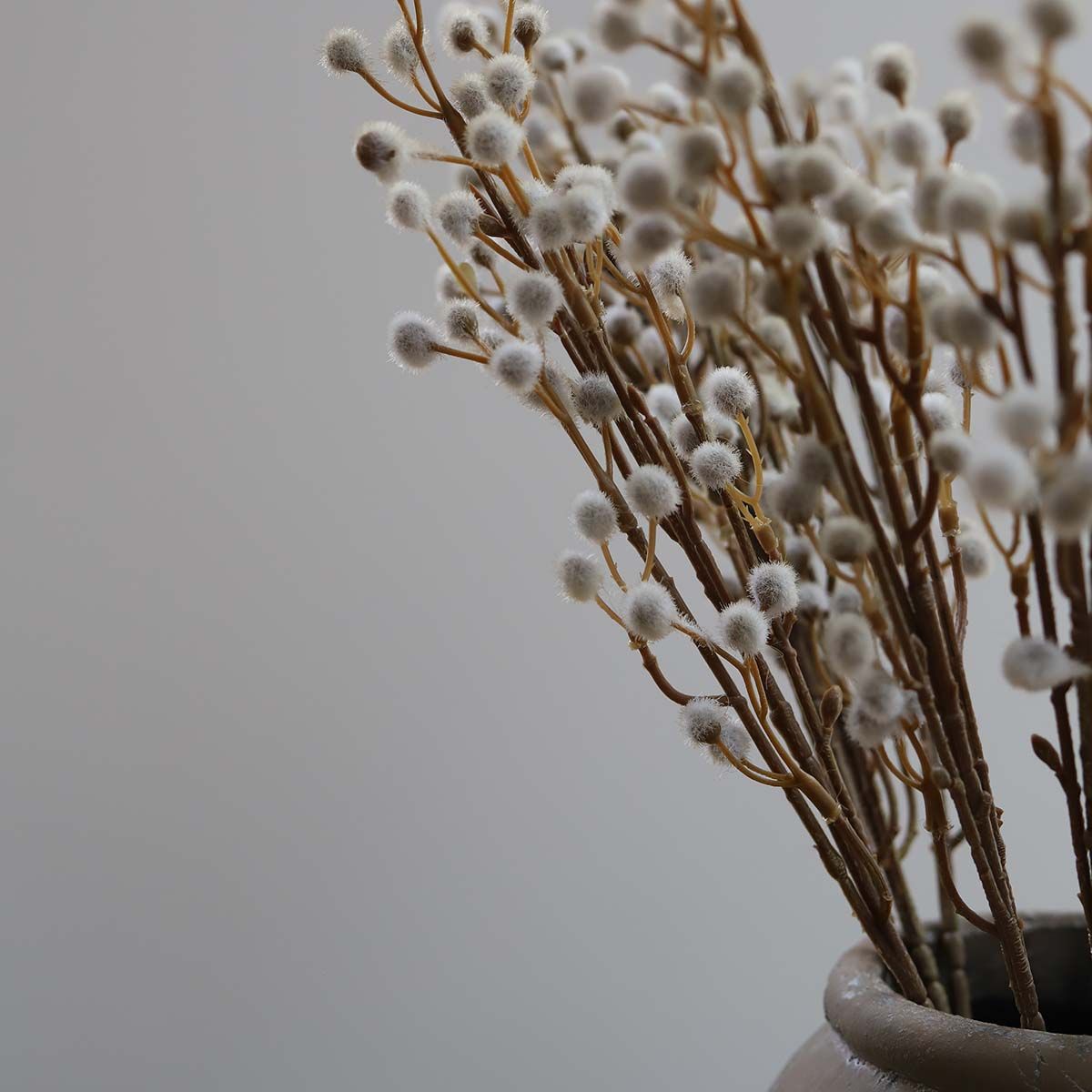 Willow Spray