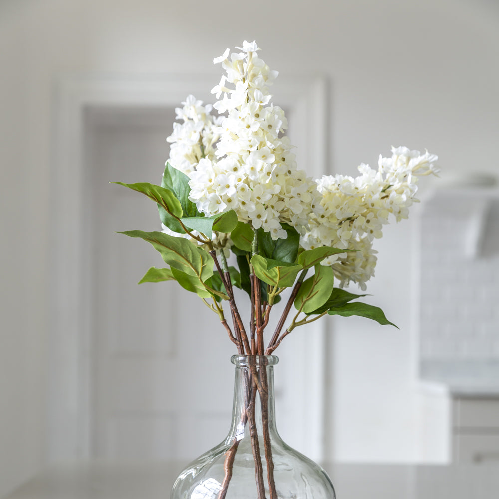 Lilac Stem