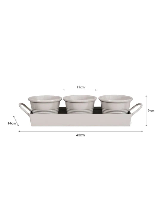 3 Pots on a Tray