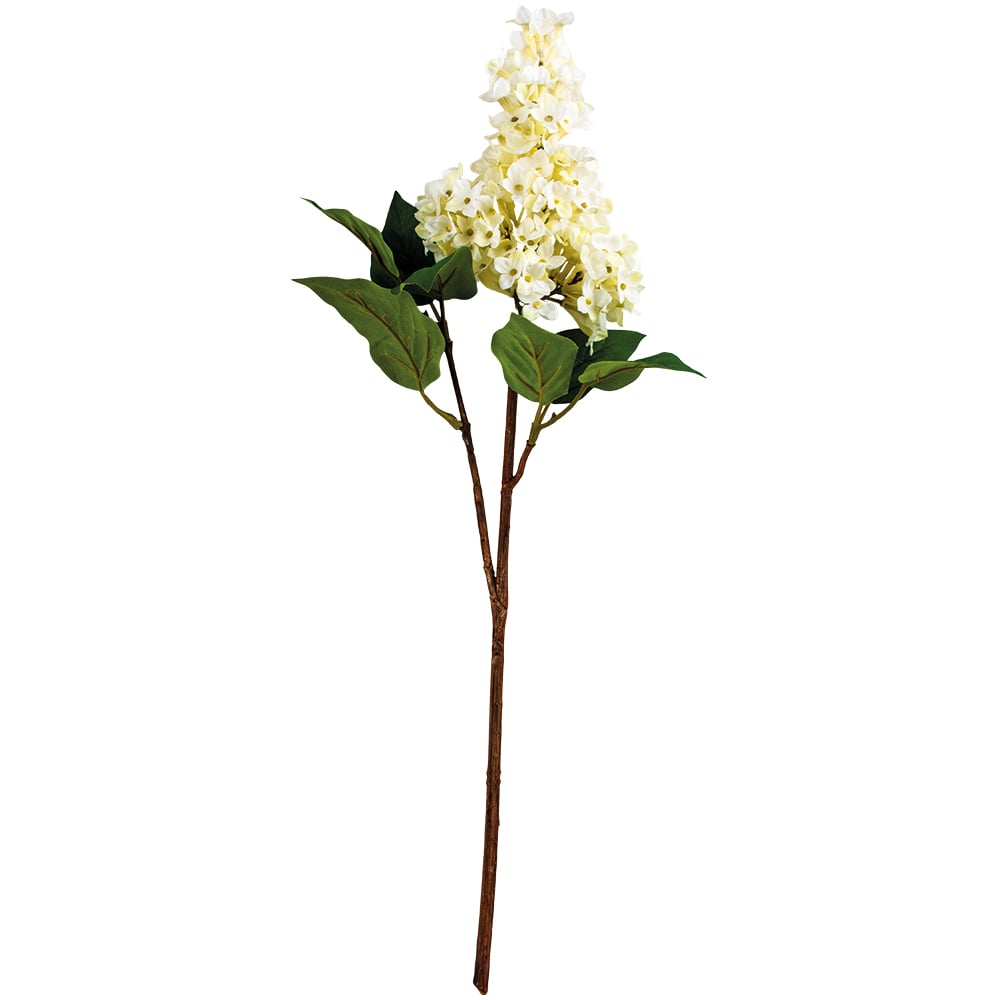Lilac Stem