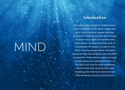 Little Book of Wild Swimming