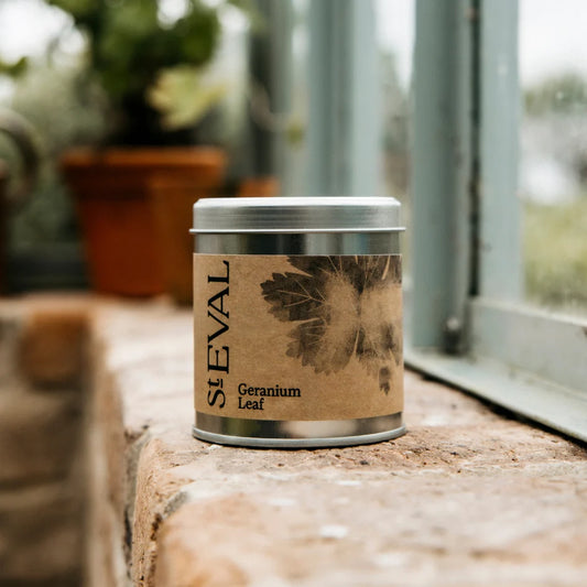 Geranium Leaf Tin Candle