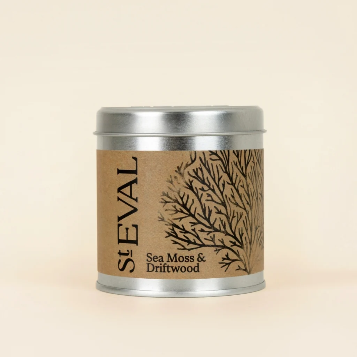 Sea Moss and Driftwood Tin Candle
