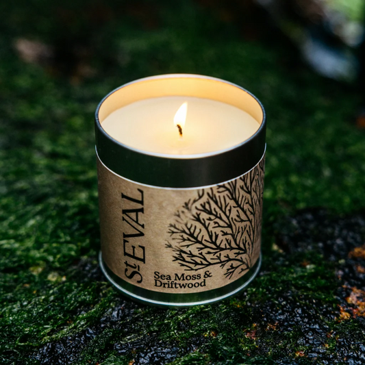 Sea Moss and Driftwood Tin Candle