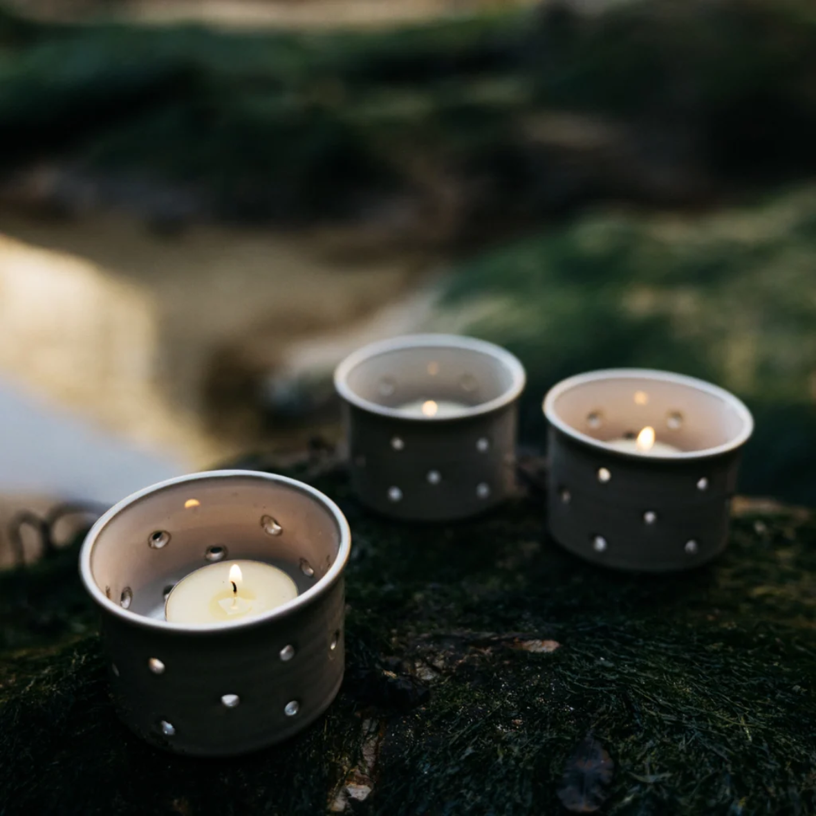 Sea Moss and Driftwood Tealights