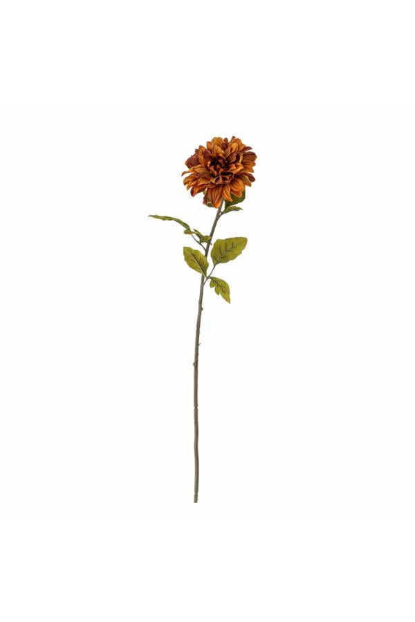 Chrysantemum Stem, Orange