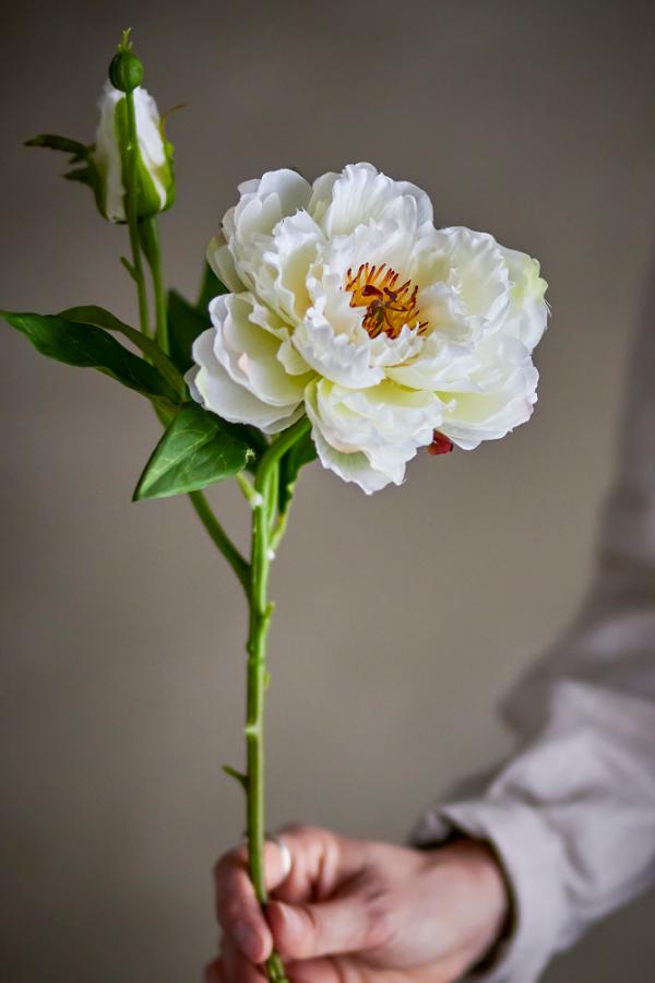 Peony Stem, White