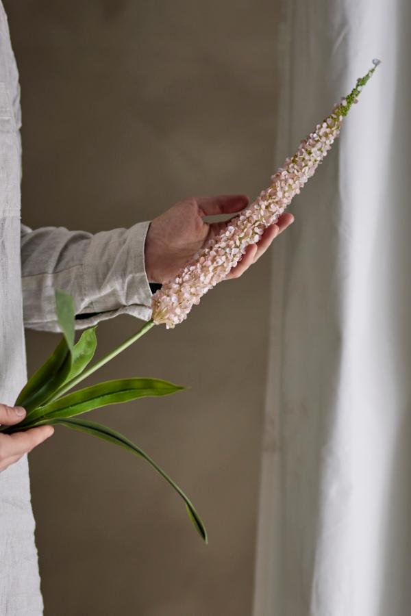 Foxtail Stem, Rose
