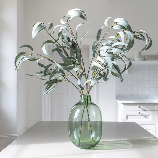 Willow Leaf Eucalyptus